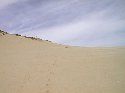 Sleeping Bear Dunes National Lakeshore