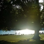 the grounds