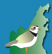 birdlogo