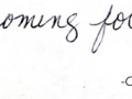 comments6web