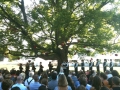 Fountain Point Wedding